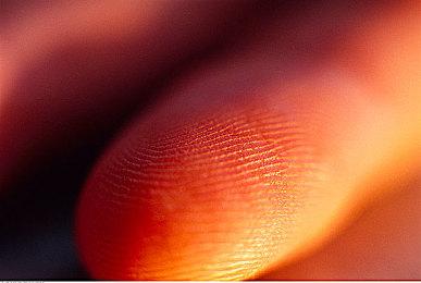 《人格解体》12月20日登陆Steam 支持简体中文